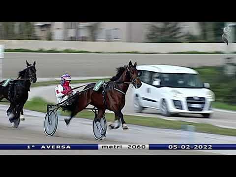 Aversa trotto 5 Febbraio 2022 - 1° Corsa