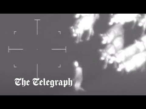 Crime-stopper cows chase suspect out of field and towards police