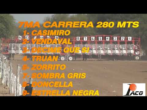 VENDAVAL EL PANGARE CRUZ DEL EJE 10 7 2022