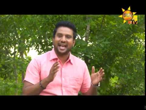 Hiru TV