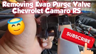 How to: Remove Evap Purge Valve 2015 Chevrolet Camaro V6