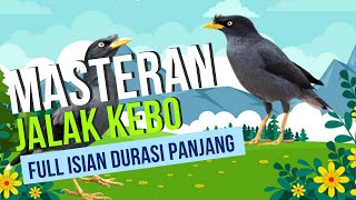 Download lagu Suara Masteran Burung Jalak Kebo Full Isian Durasi Panjang mp3 Download lagu Suara Masteran Burung Jalak Kebo Full Isian Durasi Panjang mp3