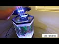 unboxing the top fin 2 gallon aquarium