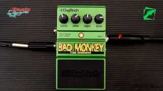 DigiTech Bad Monkey - demo, reamping test
