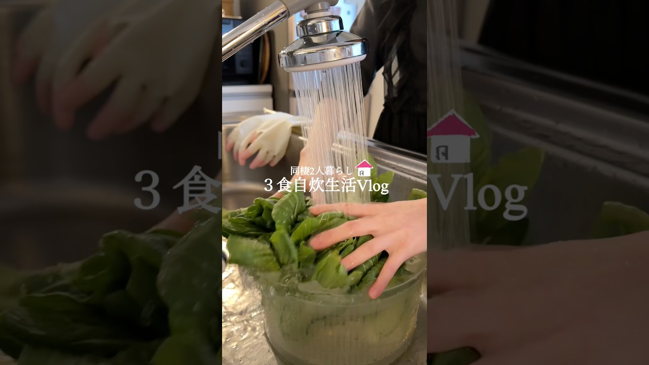 【美味しい食べ方】チンゲン菜の蒸ししゅうまい風🥬♨️