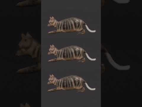 15 de febrero de 2025