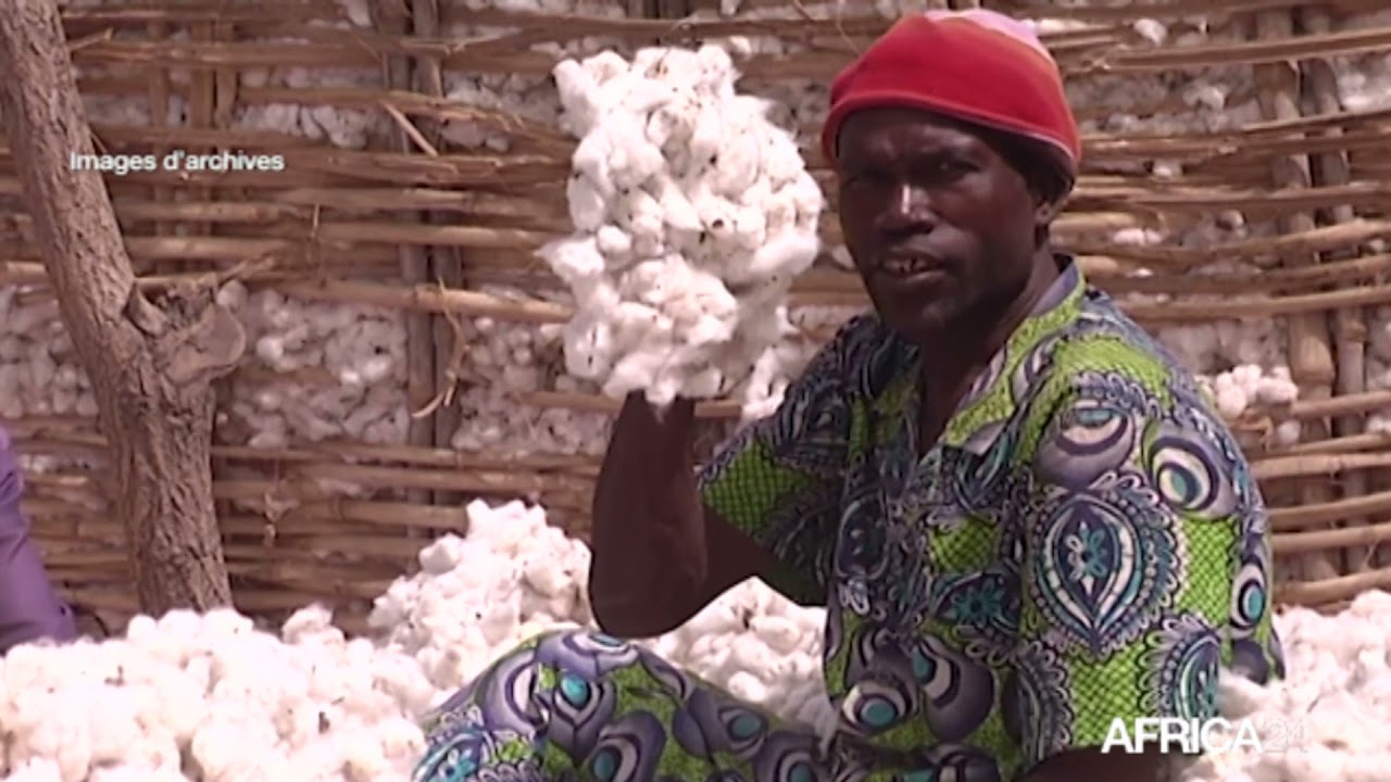 Côte d'Ivoire : vers un record de 580 000 tonnes de coton en 2021/2022