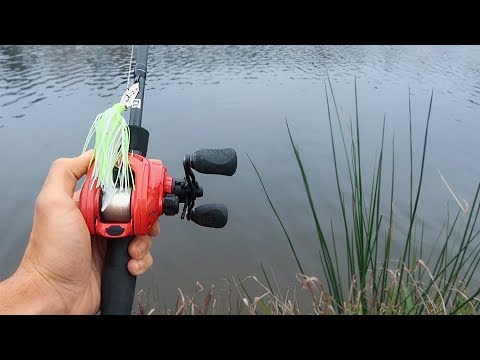 Fishing for GIANT Bass In SMALL Ponds (LOADED)