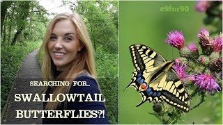 SEARCHING FOR THE UK'S LARGEST BUTTERFLY?! | Maddie Moate