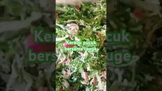 Download lagu kerabu pucuk paku bersama tauge mp3