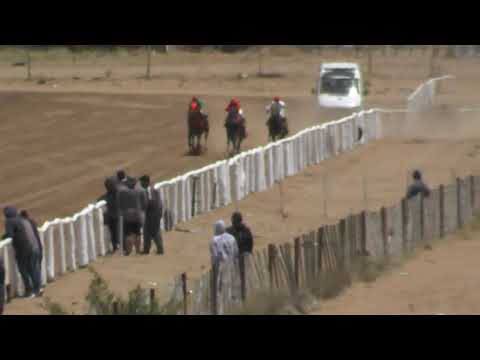 TONY - Club Hípico Viento Sur Cutral Co - 12-12-21