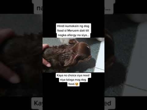 RELATE dito ang mga FURMOM/FURDAD pag PICKY EATER ang FURBABY.