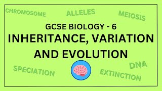 AQA GCSE Biology in 10 Minutes! | Topic 6 - Inheritance, Variation and Evolution