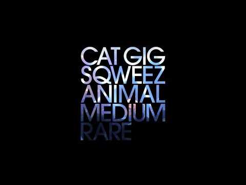 บันทึกการแสดงสด It’s Me Presents Cat GIG SQWEEZ ANIMAL