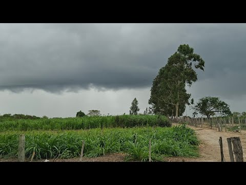 Grande chuva no nosso sertão baiano Tremedal Bahia