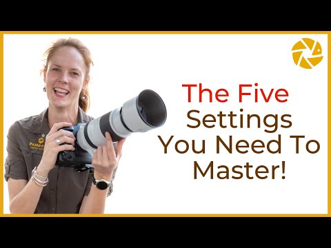 Nature Photography Tips For Beginners