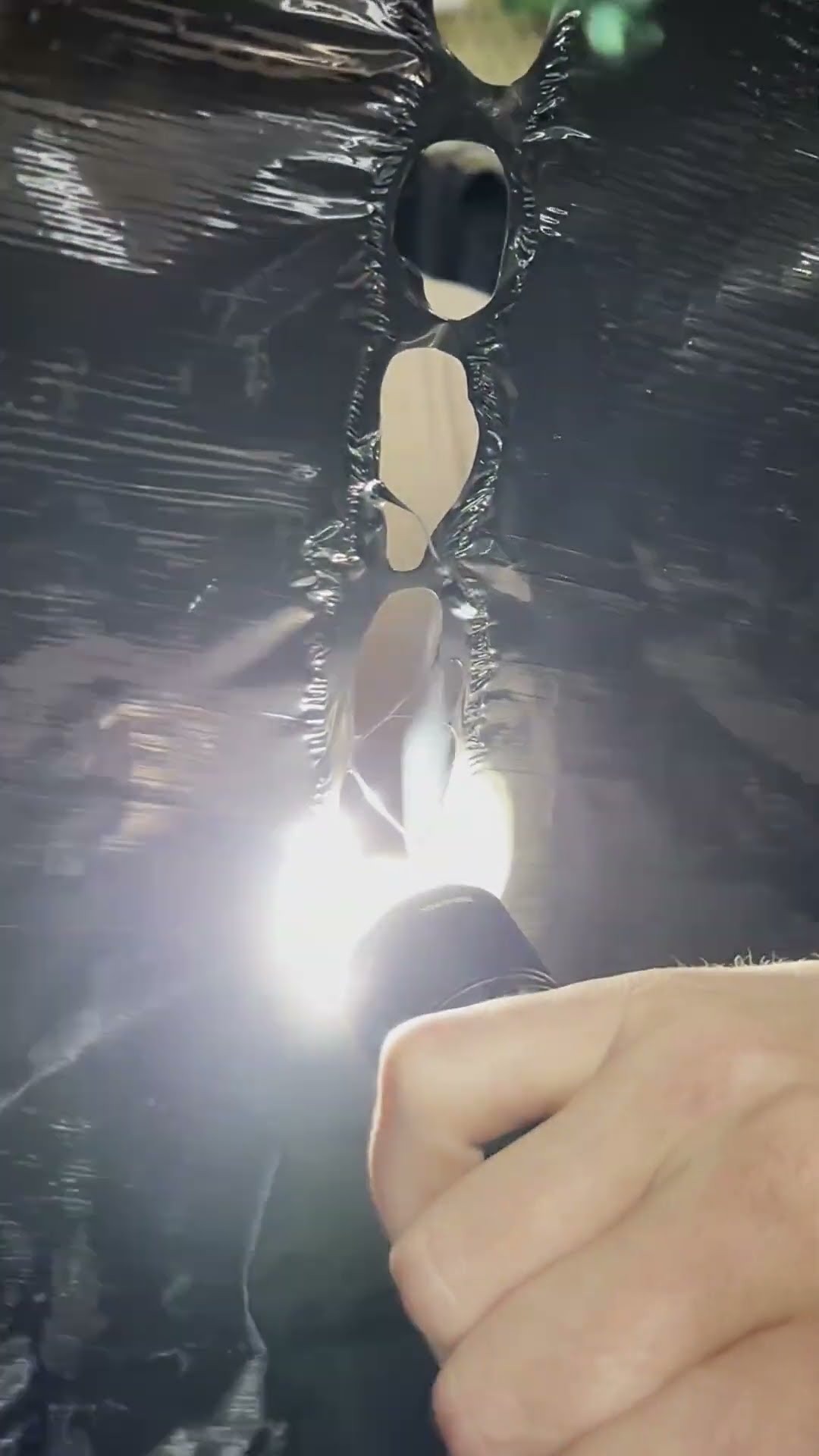 YouTube Shorts preview