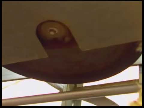 Asc-1 Automatic Hock Cutter