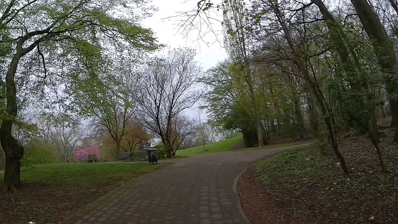 Youtube Video Preview