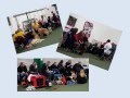 CRUFTS 2015 Obreedience Heats - YouTube