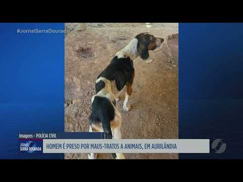 Homem é preso por maus tratos a animais, em Aurilândia