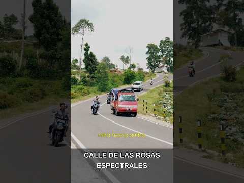 Calle de las Rosas Espectrales