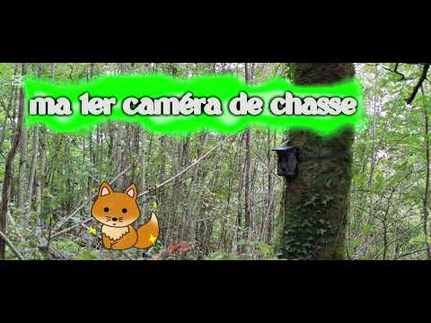 Six fontaines - Baulmes.