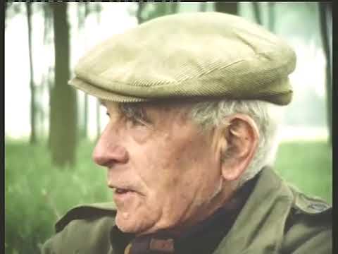 1979 - Schijndel in beeld ( 45 )