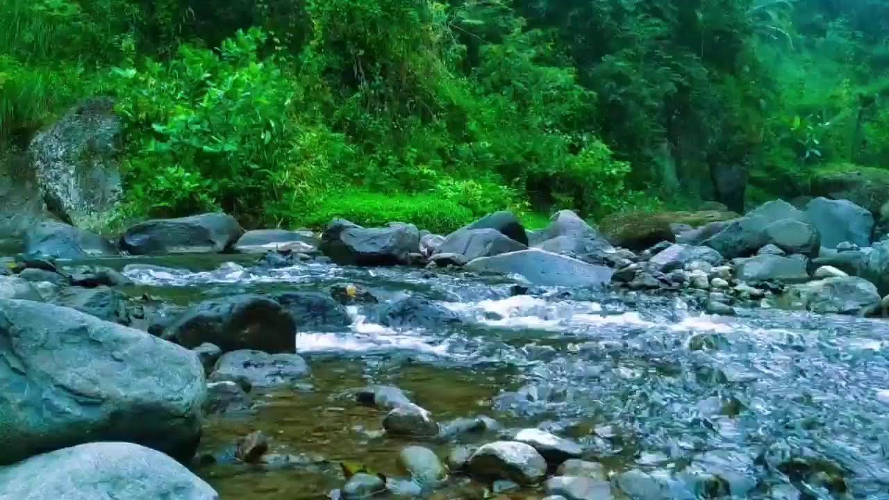Gentle Stream Sounds | Perfect for Relaxation & Meditation