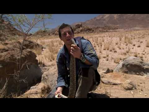 Born Survivor: Bear Grylls