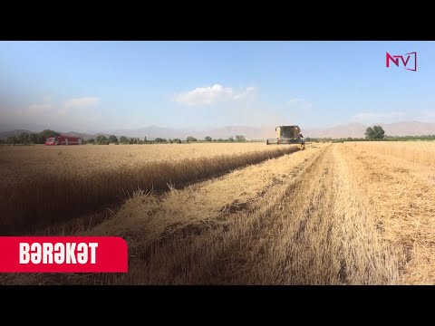 BƏRƏKƏT 08.07.2025