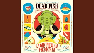 Download  Bolero  - Dead Fish
