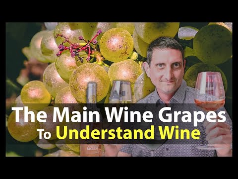 Essential Guide to Wine Grape Variety Names from around the World