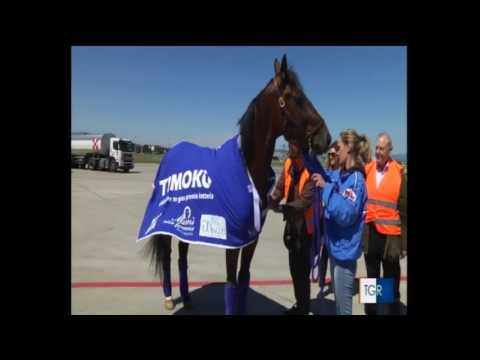 TIMOKO' ARRIVO A CAPODICHINO LOTTERIA AGNANO 2017 TGR CAMPANIA