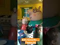 Peppapigworld Paultonspark Indianfamilyinuk