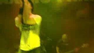 Maximo Park Nosebleed