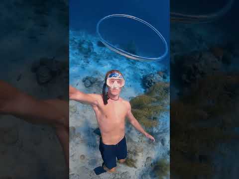 تعلّم هذه الحركة وأبهر الجميع تحت الماء