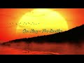 Sun King - The Beatles (Subtitulado Español)