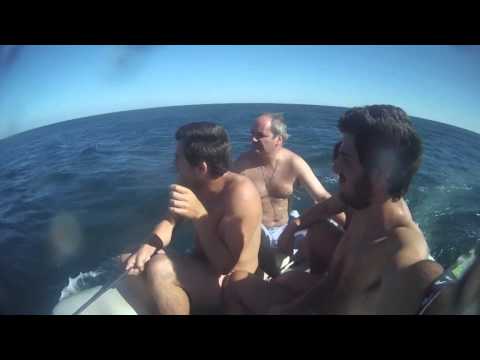 Gallego Team Feeling the Summer 2014