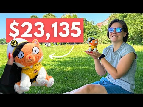 The Cat That is Saving Lives by Cruising