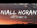 Niall Horan Nice To Meet Ya Lyrics
