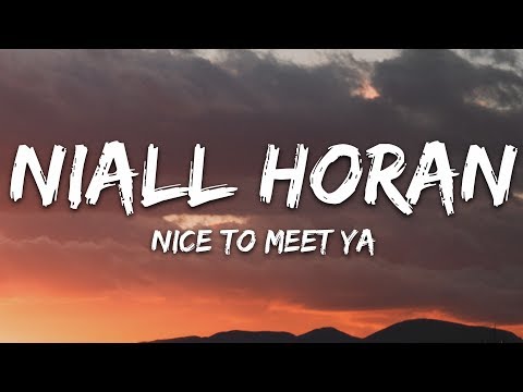 Niall Horan - Nice To Meet Ya (Lyrics)