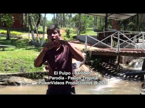 PASION TROPICAL  EL PULPO - PARODIA - BAROBERO - KACHAKA EN GUARANI