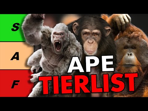 Which Is The Greatest Ape?