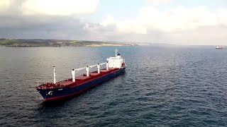 La prima nave turca con il grano Ucraino è arrivata a Istanbul, attende l'ispezione