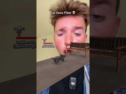 Meow Meow 🐈‍⬛