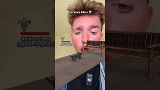 Download lagu Meow Meow 🐈‍⬛ mp3