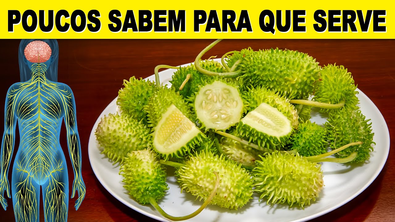 Você Não Imagina que 1 MAXIXE Pode Fazer Tudo Isso! - Benefícios e Como Usar Certo