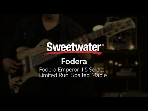Fodera Emperor II 5 Select Limited Run Spalted Maple Bass Demo