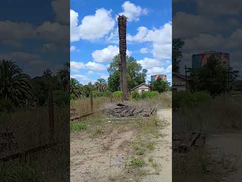 vieja estacion de San Ramon, Canelones